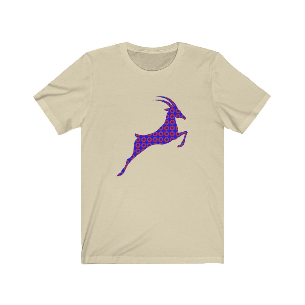 PHISH PHASHIONS